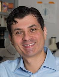 Ilya Finkelstein's Curriculum Vitae