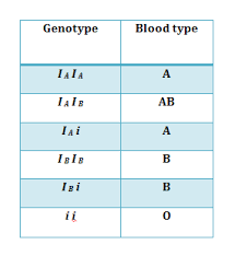 Please refer to the appropriate style manual or other sources if you have any questions. Co Dominance And Multiple Alleles Based On Blood Group System