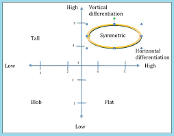 Organizational Complexity Rachel Cox