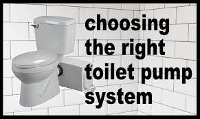 The 1/2 hp pump removes 6,000 gph at 10 ft. Buyers Guide How To Choose Toilet Pump System Pumpproducts Com