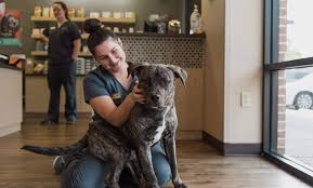 The pet hospitals midtown 2651 union ave ext memphis tn 38112. Expert Veterinary Care Memphis Poplar And Massey The Pet Hospitals