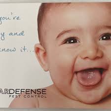 CLEARDEFENSE PEST CONTROL