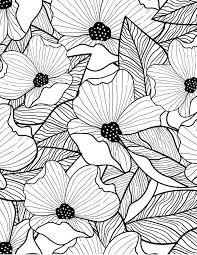 Then, draw 5 petals coming off the circle that are evenly spaced apart. Pin On Coloriage Fleurs Et Plantes Flowers And Plant Colouring Pages