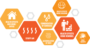 When there is too much fine particle pollution in the air, your health could be at risk. Orlando Indoor Air Quality Testing Home Air Inspection Service