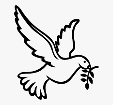 Check spelling or type a new query. Transparent Wedding Doves Png Dove Holy Spirit Symbols Png Download Kindpng
