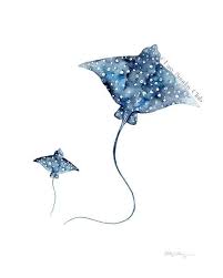 Hi i'm a private tattoo studio. Limited Edition Spotted Eagle Rays Duo Fine Art Print Under The Sea In 2021 Manta Ray Art Ray Tattoo Manta Ray Tattoos