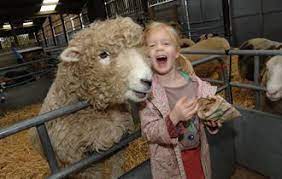 25 acres of amazing wildlife in ontario, with a petting zoo and playground too! Farm Parks Petting Zoos