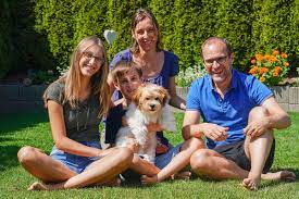 havaneser wurf t fortuna s joy havanese havaneser havaneser welpen hundebaby