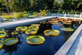 Check spelling or type a new query. Jardin Aquatique Espace Pour La Vie
