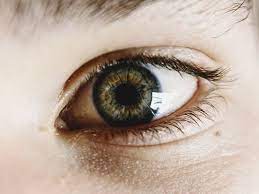 Cancer that occurs in eye tissue is called eye cancer. New App Can Detect Early Signs Of Eye Cancer In Kids Technology Gulf News