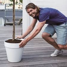 Bemalter blumentopf als deko für den garten; Tolle Geschenkideen Fur Gartenliebhaber