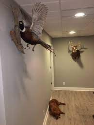 The deal included a $16.4 million signing bonus, as well as a $30 million option bonus. Carson Wentz On Twitter Finally Got Some Mounts Up In The House About Time