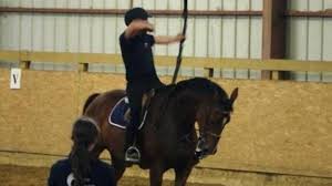 A l'origine, elle servait principalement à chasser, à protéger les troupeaux et à se battre. Decouvrir Le Tir A L Arc A Cheval