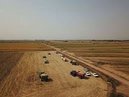 A California Legacy and Collaboration