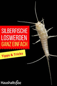 Silberfische Bekampfen Beste Tipps Tricks Silberfische Silberfische Bekampfen Haushaltsfee