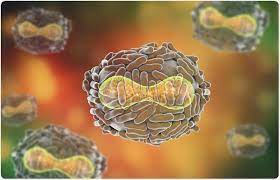Per identificare il virus originale come vaiolo, dobbiamo sequenziarlo. Causa Di Vaiolo