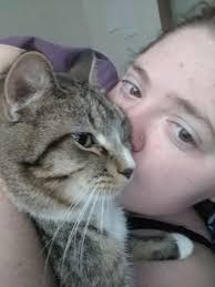 Kai in shocking mood face 😸 Kai the scottish cat