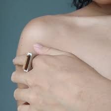 Arquitectos UNAM FES ARAGON