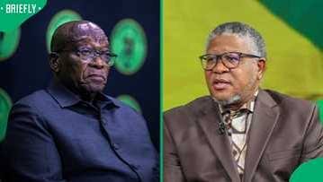 The Issue Is Fear of Jacob Zuma”: Jacinta Ngobese-Zuma Clashes With Fikile Mbalula in Online Spat - Briefly.co.za
