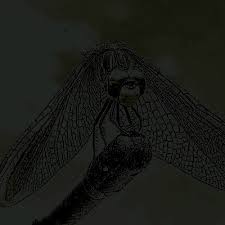 Image result for tbn:ANd9GcTIjeYL4W5xKLDGsYyE5Sd8HQ-eXDrNCN8DSB15OyJIRBatuPGGnK5Zww