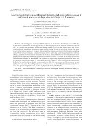 Look through examples of hujan translation in sentences, listen to pronunciation and learn grammar. Pdf Macroinvertebrates In Neotropical Streams Richness Patterns Along A Catchment And Assemblage Structure Between 2 Seasons
