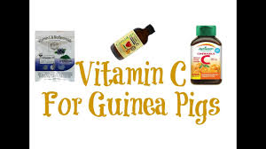 What are the benefits of jamieson vitamin d3? Vitamin C Which Brands How Much How Often Youtube