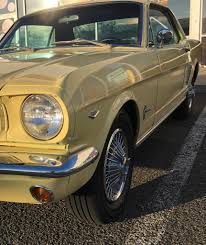 Image result for Sunlight Yellow 1964 Mustang