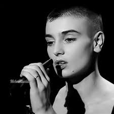 Cindy Barg (cindybarg)