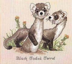 Free ground shipping on all us orders $80 or more. Baby Animal Cross Stitch Patterns Part 1 Crazycupcakedesigns4u