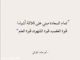ابيات شعر عن السعادة موقع المحيط