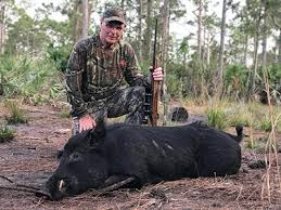 There is an $45 non hunter fee for all non. Fox Brown Outfitters Hogs Fox Brown Outfitters