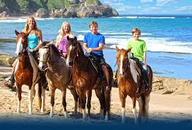 Welcome To Tropical Trail Rides Com The Best Horseback Rides In Puerto Rico And The Caribbean Horse Riding Clothes Horseback Riding Equestrian Outfits