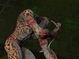 Résultat de recherche d'images pour "cheetah claw"