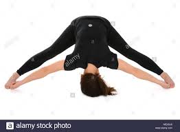 Young Woman Doing Yoga Asana Prasarita Padottanasana Stock Photo Alamy