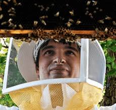 Beeline February 2024