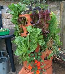 How many worms for garden tower. Finding Out About The Garden Tower Project Buy Fencing Direct