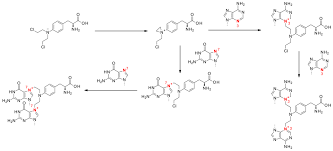 Image result for Melphalan