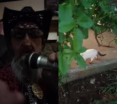 #duet with @briankirby348