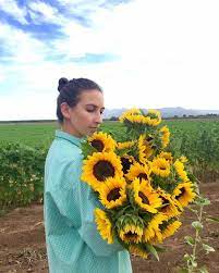 Sending flowers to your favorite college student attending new mexico state university in las cruces or residing in the surrounding area is nothing. Calhoun Flower Farms