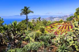 Madeira insel, funchal, tour, spaziergang, monte, botanischer garten, tropischer garten des madeira ist ein garten! dies ist einer der am häufigsten verwendeten slogans in unzähligen. Der Botanische Garten Von Funchal Madeira Portugal