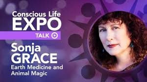 Conscious Life Expo Talks 2019 Season 1