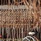 Community Weaving with Natural Materials