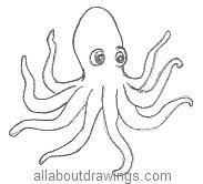 Octopus Drawings In Pencil Octopus Drawing Octopus Sketch Animal Quilts