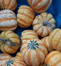Wine pairing recommendations for 40+ winter squash recipes prepared by #sundaysupper family; The Definitive Guide To Buying And Cooking Winter Squash Portland Monthly