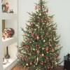 Time lapsed photography on the building of my christmas tree with my two best friends.three if you count the dog! Https Encrypted Tbn0 Gstatic Com Images Q Tbn And9gctc3sm5in4dhaqdlpcoejizibg1h72dkhzhokg2netegwlyam P Usqp Cau