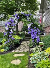 Image result for Clematis