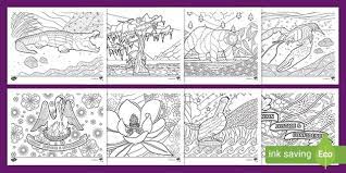 Crayola coloring pages flag coloring pages flower coloring pages free coloring coloring pages for kids coloring sheets louisiana history louisiana map 3rd grade social studies. Louisiana State Symbols Mindfulness Coloring Sheets