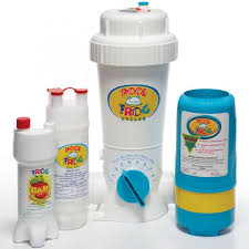 Pool Frog In Ground System Pool Chlorinator Mineral Systems