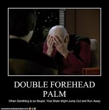 Image result for double facepalm