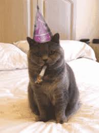 More images for grumpy cat happy birthday » Grumpy Cat Birthday Gifs Tenor